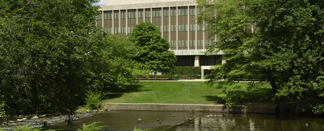 Associate Provost for Academic Services